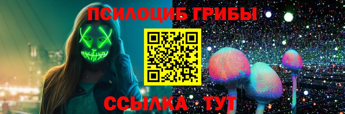 Псилоцибиновые грибы Cubensis  Вход с VPN  Зима 